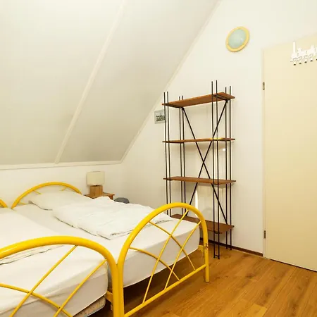 Tulip * De Zandloper