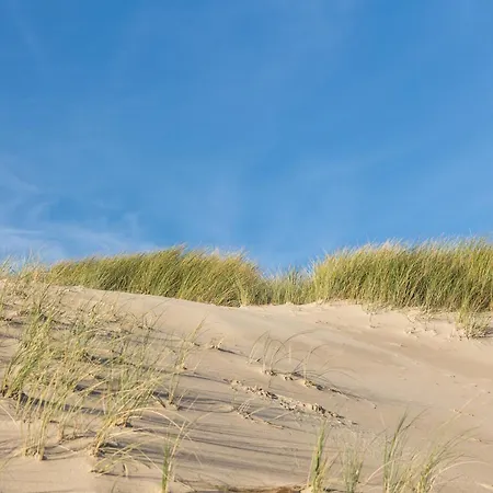 Σπίτι διακοπών Tulip