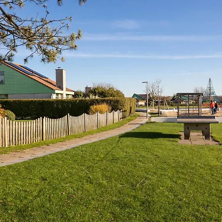 Tulip * De Zandloper