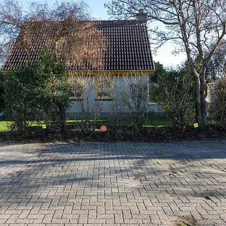 Tulip * De Zandloper