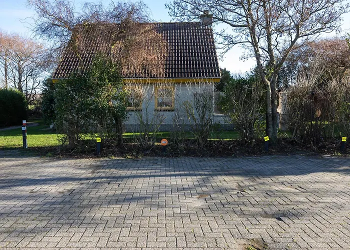 Tulip * De Zandloper